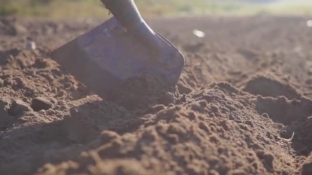 Man manualy cultivate land with a hoe sunny day close up — Stock Video