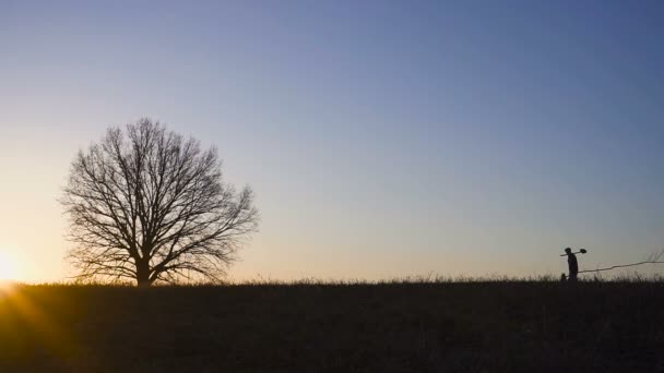 Hombre plantando árboles en el campo. Sunny sunrise, sunset. Silueta. Primavera o verano — Vídeo de stock