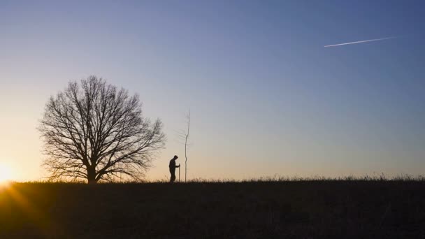 Ο άνθρωπος φύτευση δέντρων στον τομέα. Ηλιόλουστο Ανατολή, ηλιοβασίλεμα. Σιλουέτα. — Αρχείο Βίντεο