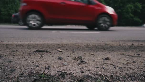 De pop valt in de buurt van de weg met actieve verkeer. Veel auto's komen van achter. Slow motion. — Stockvideo