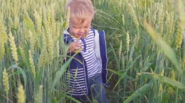 Buğday ile sahada güneşli gün mutlu genç çocuğa. Küçük çiftçi kavramı.