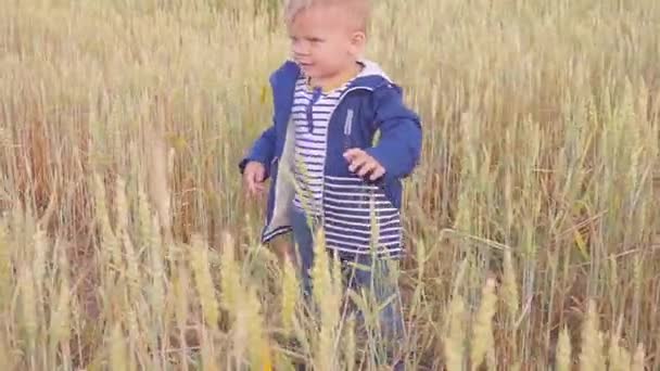 Щасливий молодий хлопчик йде на поле з пшеницею в сонячний день. концепція малого фермера . — стокове відео