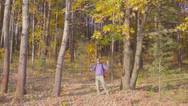 Man toerist in een blauwe trui met een rugzak verheugt zich in de herfst bos — Stockvideo