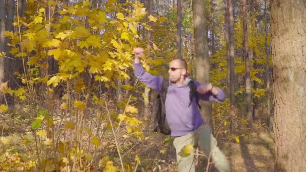 Leende Man turist i en blå tröja med en ryggsäck jublar i skogen höst — Stockvideo