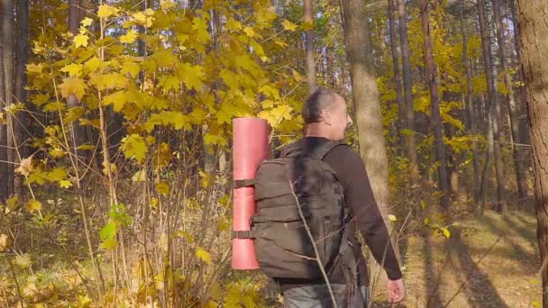 Чоловік, турист, чоловік з рюкзаком, ходить в осінньому лісі з виливними кущами . — стокове відео