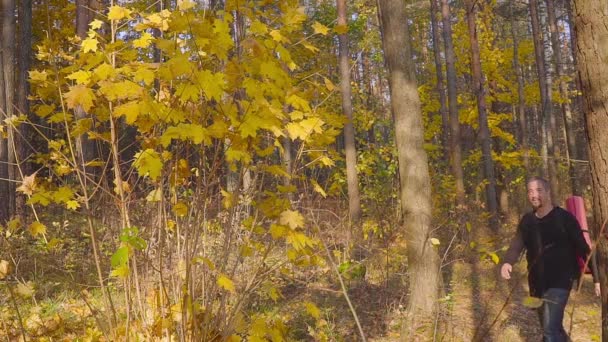 Man, wandelen toeristische, man met rugzak, in de herfst bos met vyellow struiken. — Stockvideo