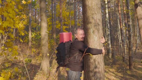 Lächelnder Mann im blauen Pullover mit Rucksack jubelt im herbstlichen Wald — Stockvideo