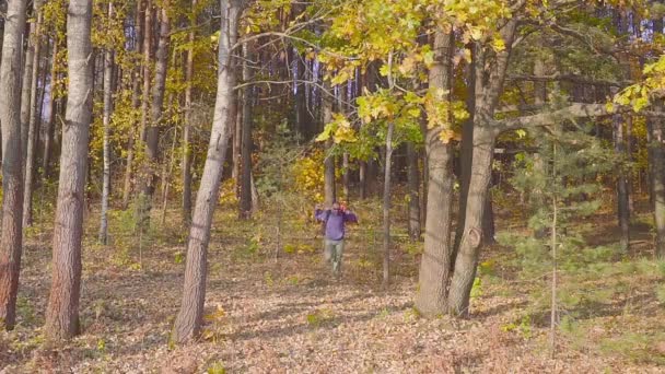 Homem turista em uma camisola azul com uma mochila se alegra na floresta de outono — Vídeo de Stock