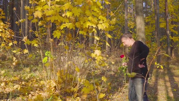 Man with red roses waiting for his beloved woman on a date in the autumn forest — Stock Video