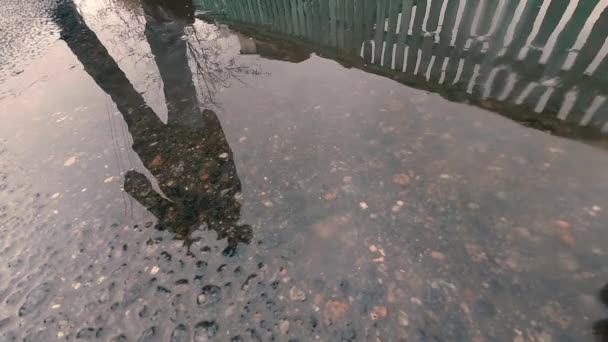 Closeup in slow motion shot of male legs in black sneakers stepping into muddy puddle with reflection. — Stock Video