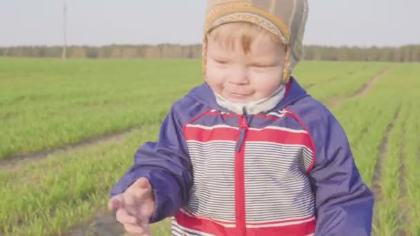 Één jaar oude jongen gaat in het veld met jonge tarwe. Closeup — Stockvideo