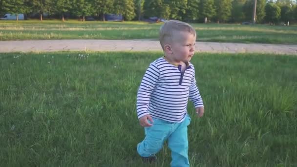 Divertido niño corriendo en el campo de flores, campo de dientes de león volando lejos. Primeros pasos — Vídeos de Stock