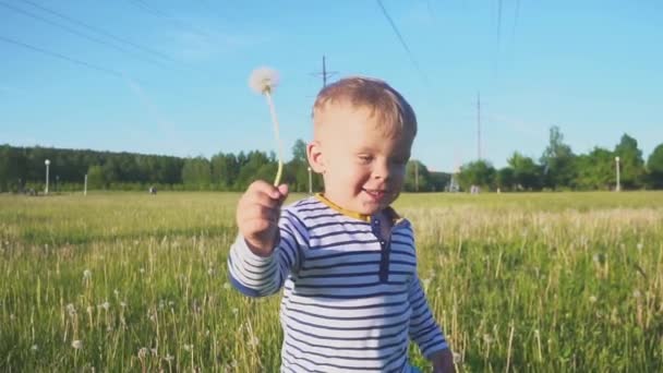 Το ευτυχισμένο αγόρι που πηγαίνει με ένα άσπρο λουλούδι πικραλίδα στο χέρι κοντά γραμμή ισχύος — Αρχείο Βίντεο