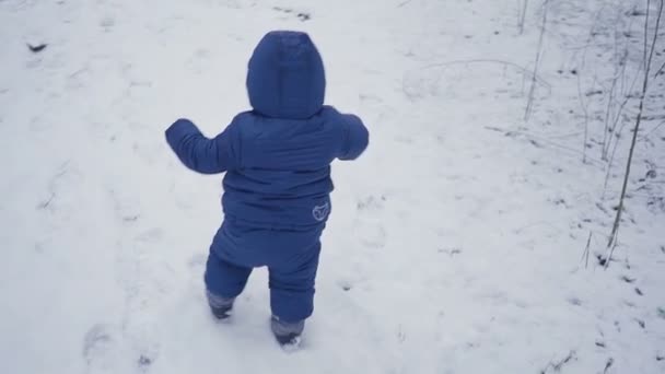 Menino caminha e brincando em madeira nevada, criança andando na floresta de inverno câmera lenta — Vídeo de Stock