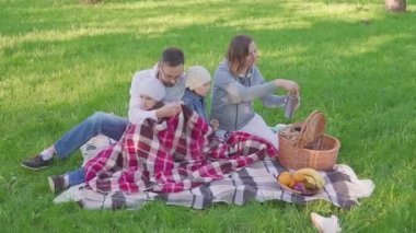 Neşeli aile bir parkta piknik sırasında çimlere oturup tüm kahvaltı vardır. bir sepet yemek ile vardır. Taze meyve