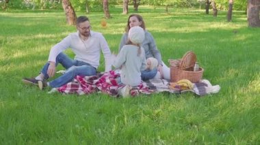Neşeli aile bir parkta piknik sırasında çimlere oturup tüm kahvaltı vardır. bir sepet yemek ile vardır. Taze meyve