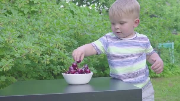 Niño comiendo cerezas en el jardín. Las cerezas en el plato sobre la mesa . — Vídeos de Stock