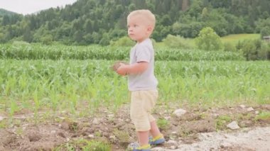 Ayakta ve Mısır veya Mısır güneşli gün açık yeşil çim Sahası arasında doğal mavi gökyüzü ve dağ arka üzerinde çalışan küçük bir çocuk çocuk.