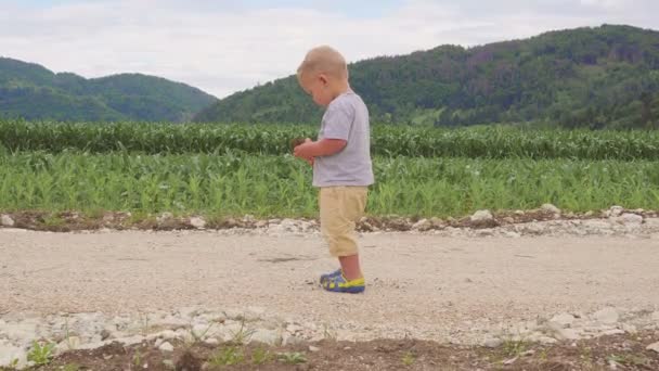 Kicsi fiú gyermek állandó és futó zöld füves területen a kukorica- vagy kukoricakeményítőből napos szabadtéri között természetes kék ég és a hegyi háttér. — Stock videók