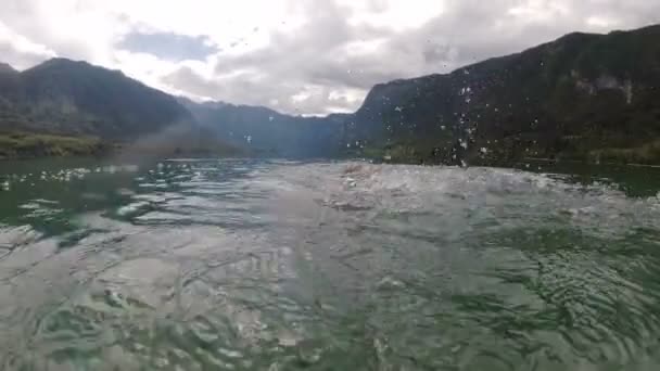 Bled, Slovenya dağ gölde yüzmeye bir adam — Stok video