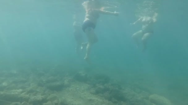 Subaquático - homens e mulheres gordos nadando em um oceano azul — Vídeo de Stock