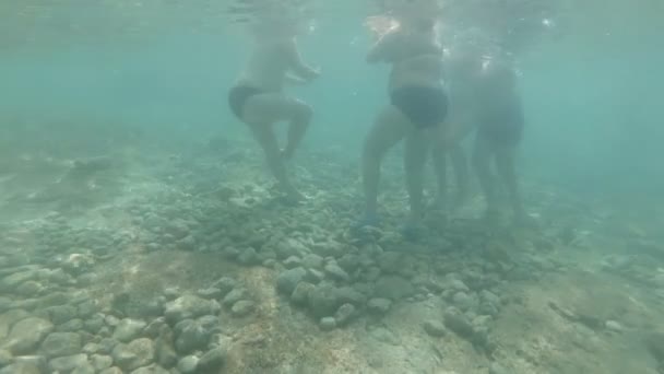 Под водой - толстые мужчины и женщины, плавающие в голубом океане — стоковое видео