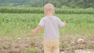 Ayakta ve Mısır veya Mısır güneşli gün açık yeşil çim Sahası arasında doğal mavi gökyüzü ve dağ arka üzerinde çalışan küçük bir çocuk çocuk.