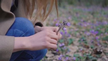 güzel genç kız 4 k ormandaki yabani çiçekler toplar