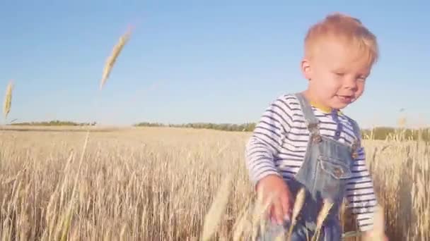 Niño feliz corriendo en el campo con centeno maduro en el día soleado en cámara lenta. concepto . — Vídeos de Stock
