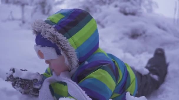 겨울 숲 기울고 agaist 나무 줄기, 낮은 저녁 빛, 배경 bokeh에서 행복 한 아이 소년의 초상화. 나이트 라이트. — 비디오