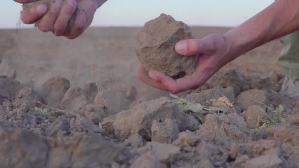 Ralenti vidéo des mains humaines tenir la poussière de terre. Sécheresse, terre sans pluie — Video