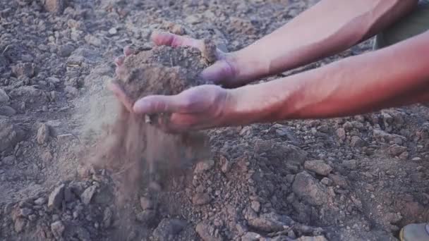 若い農夫の手は 苗畑にトウモロコシに肥沃な土壌を維持します オーガニック コンセプト — ストック動画