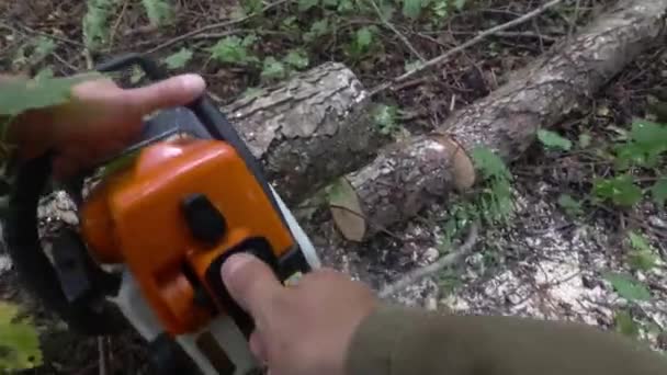 Zár-megjelöl kilátás-ból a fa motoros fűrész. az első, aki a — Stock videók