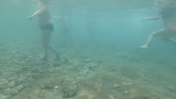Sott'acqua - uomini e donne grasse che nuotano in un oceano blu — Video Stock