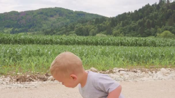 小さな坊や立って自然な青い空や山背景にトウモロコシやトウモロコシの晴れた日の屋外の緑の芝生のフィールド間で実行して. — ストック動画