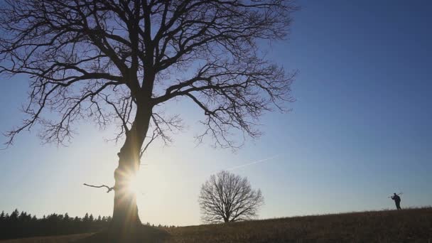 Agriculteur avec une pelle marchant sur le terrain. Ils transportent du matériel pour planter un arbre. Au coucher du soleil. Vue latérale — Video