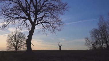 Azrail günbatımı siluet. ölüm kavramı