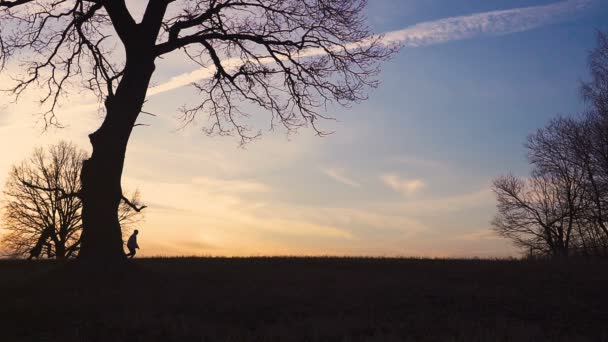 Grim Reaper kwam voor een nieuw slachtoffer en hij volgt het slachtoffer, de man, maar de man loopt weg. zonsondergang silhouet. concept van de dood en zaligheid — Stockvideo