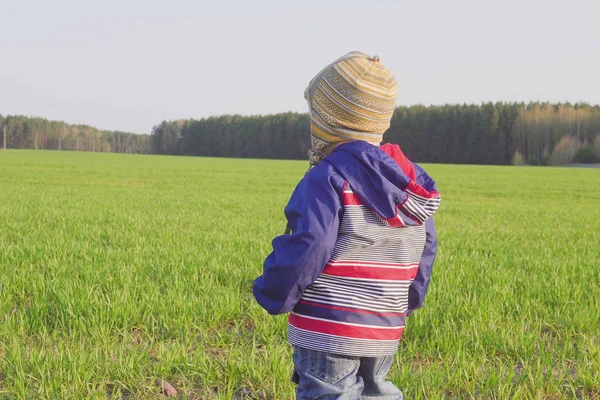 bir yaşındaki çocuk çiftçi genç buğday alanında daimi
