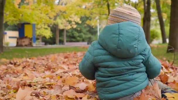 男の子は彼の最初の撮影は、公園で手順します。秋の日. — ストック動画