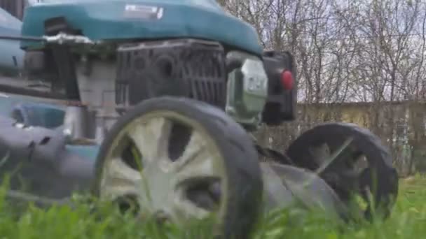 Cortador de grama cortando grama verde no quintal. Fundo de jardinagem . — Vídeo de Stock