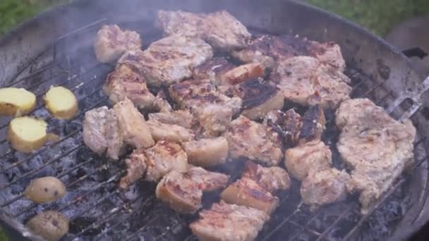 Grilovaný kůlu a brambory na grilu. — Stock video