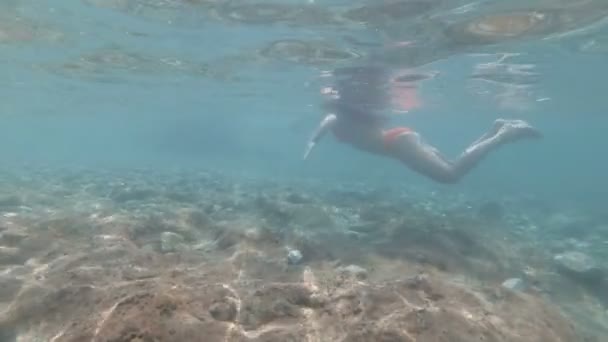 Girl with beautiful figure is swimming on the beach. Underwater shooting. — Stock Video