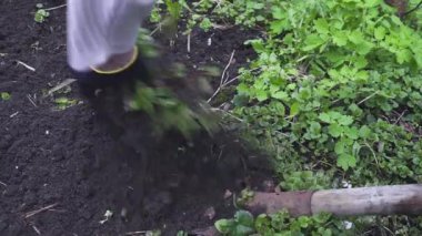Bahçıvan diging bir bahçe ve yabani ot koparma.