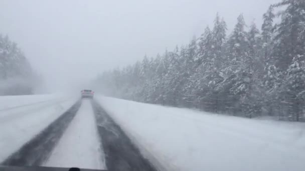 Winter roadl in heavy snow with strong blizzard in moving car — Stock Video