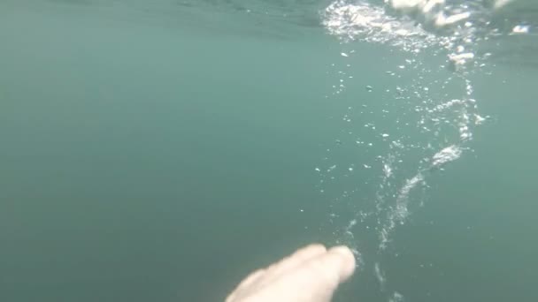 Happy little boy is swimming in the pool together with his mother underwater . A young mother with a baby boy swims in the pool. — Stock Video