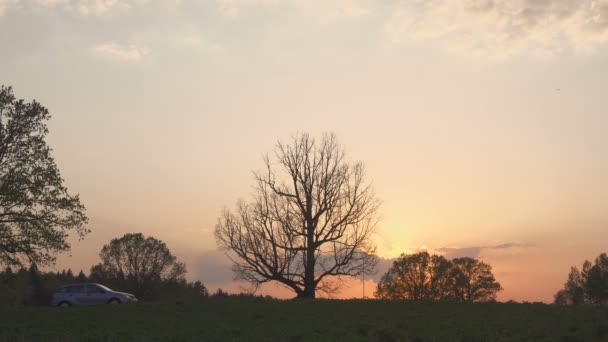 Sziluettjét egy autó, a mező, a naplemente. Az út és a mező. Az autó a pályán. — Stock videók