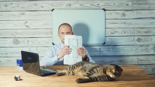 Joven hombre de negocios barbudo sentado en la oficina y el uso de ordenador portátil cerca del gato . — Vídeo de stock