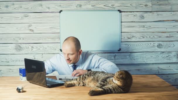 Brodaty młody biznesmen rozmieszczenie w biurze i korzysta z laptopa w pobliżu kot. — Wideo stockowe