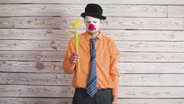Payaso con flores de tulipán en concepto divertido. Hombre enamorado en una cita Esperando a tu amor — Vídeo de stock